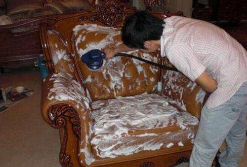 长沙萌宠养殖租赁，累积多年从业经验