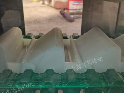 植物租赁，南宁植物租赁公司专业为您介绍
